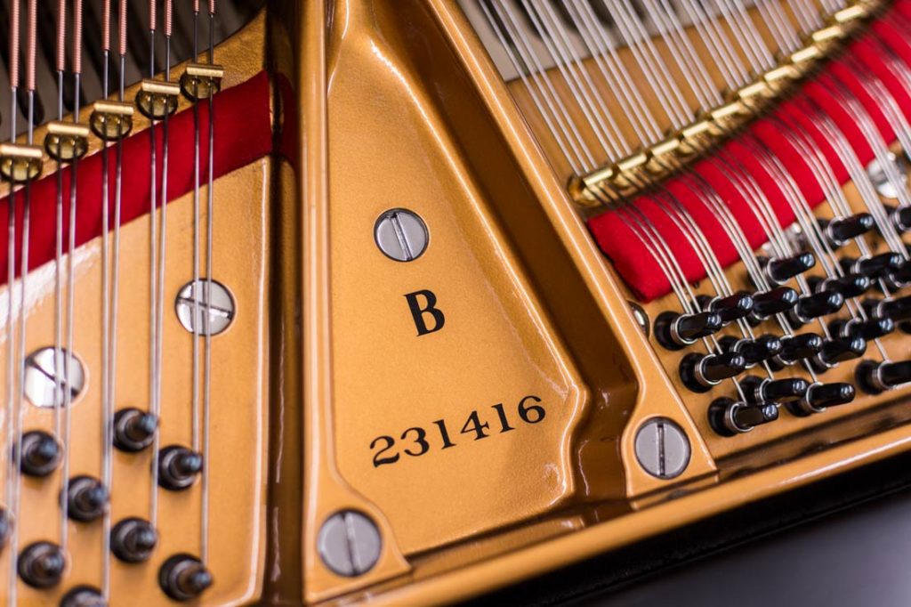 1925 Steinway Model B Grand Piano | Satin Ebony - Fully Restored