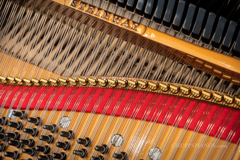 1925 Steinway Model B Grand Piano | Satin Ebony - Fully Restored