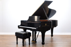 2019 Steinway & Sons Model B Grand Piano - Satin Ebony - 611778 - Purchased New by Client - Sold Now by Chupp's Piano Service, Inc.